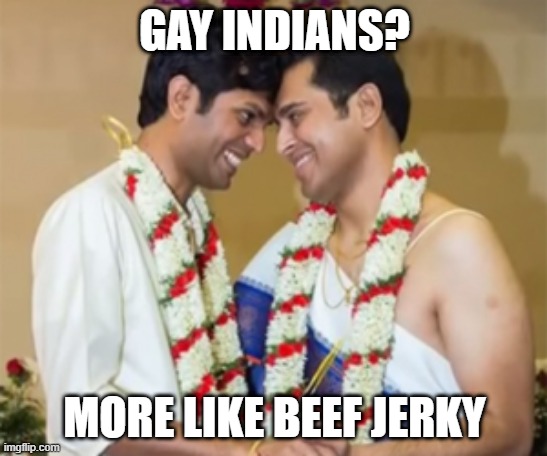 Want It? | GAY INDIANS? MORE LIKE BEEF JERKY | image tagged in indian gay | made w/ Imgflip meme maker