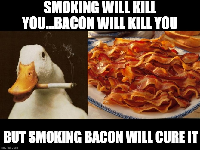 SMOKE!!! | SMOKING WILL KILL YOU...BACON WILL KILL YOU; BUT SMOKING BACON WILL CURE IT | image tagged in smoking duck,bacon | made w/ Imgflip meme maker