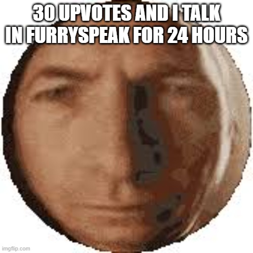 he | 30 UPVOTES AND I TALK IN FURRYSPEAK FOR 24 HOURS | image tagged in ball goodman | made w/ Imgflip meme maker