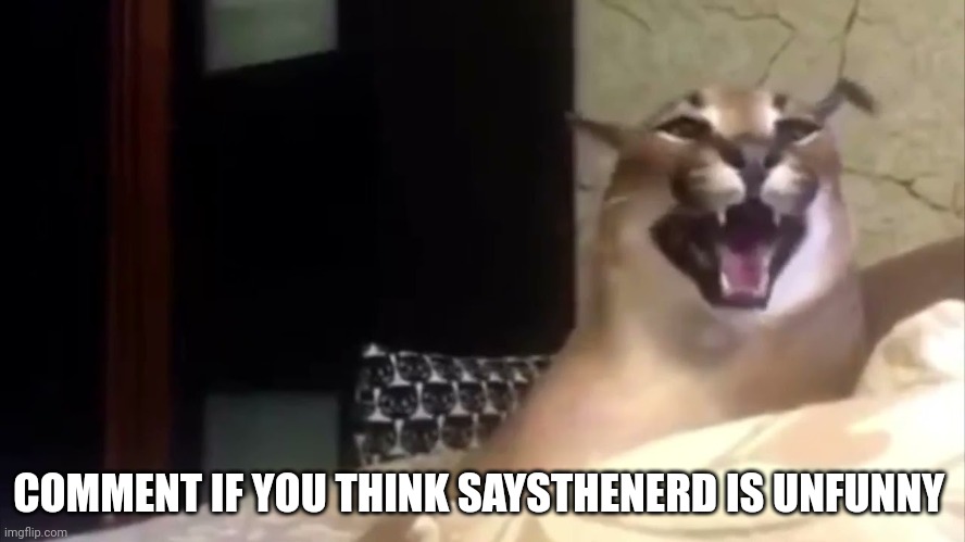 k e r r | COMMENT IF YOU THINK SAYSTHENERD IS UNFUNNY | image tagged in k e r r | made w/ Imgflip meme maker
