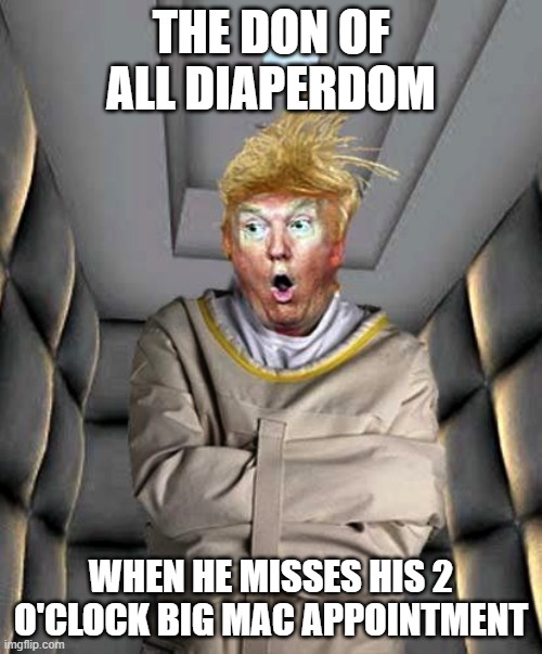 Trump insane strait jacket rubber room | THE DON OF ALL DIAPERDOM; WHEN HE MISSES HIS 2 O'CLOCK BIG MAC APPOINTMENT | image tagged in trump insane strait jacket rubber room,political meme,funny | made w/ Imgflip meme maker