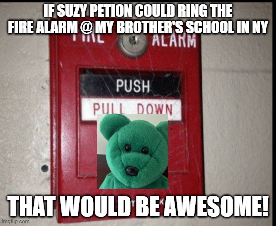 Suzy Petion & the SOIS F.A. | IF SUZY PETION COULD RING THE FIRE ALARM @ MY BROTHER'S SCHOOL IN NY; THAT WOULD BE AWESOME! | image tagged in disaster girl fire alarm,autism | made w/ Imgflip meme maker