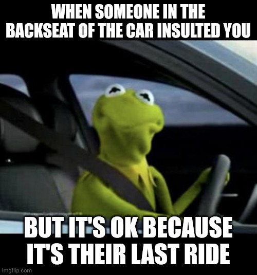 Kinda dark humor | WHEN SOMEONE IN THE BACKSEAT OF THE CAR INSULTED YOU; BUT IT'S OK BECAUSE IT'S THEIR LAST RIDE | image tagged in kermit driving | made w/ Imgflip meme maker