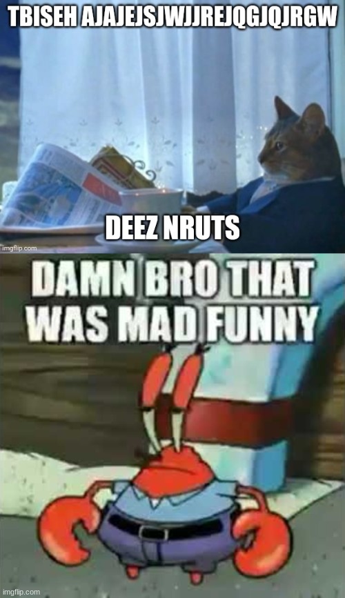 image tagged in damn bro that was mad funny | made w/ Imgflip meme maker
