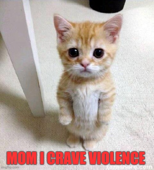 Cat craves violence | MOM I CRAVE VIOLENCE | image tagged in memes,cute cat,cat craves violence | made w/ Imgflip meme maker