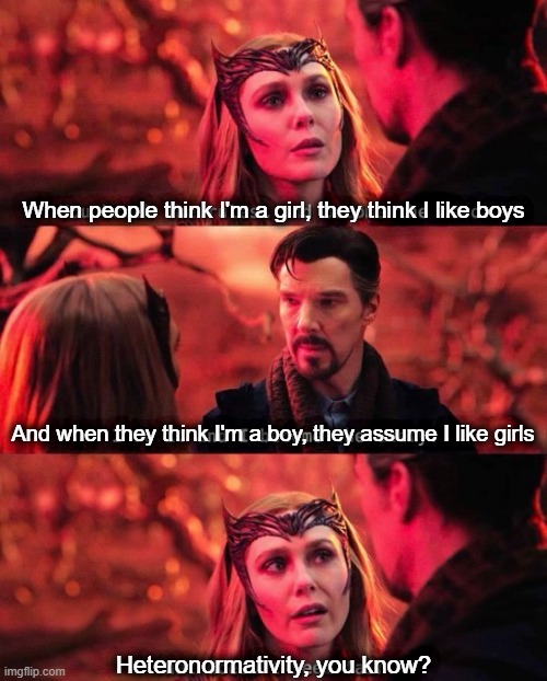 Heteronormativity | When people think I'm a girl, they think I like boys; And when they think I'm a boy, they assume I like girls; Heteronormativity, you know? | image tagged in wanda calls dr strange out,trans | made w/ Imgflip meme maker