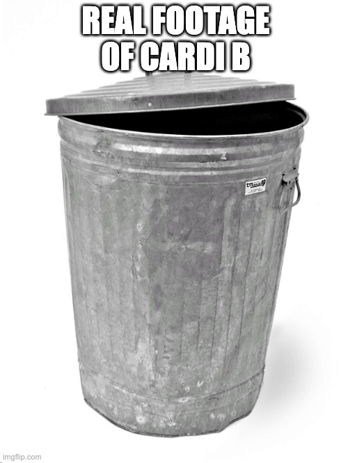 Trash Can | REAL FOOTAGE OF CARDI B | image tagged in trash can | made w/ Imgflip meme maker