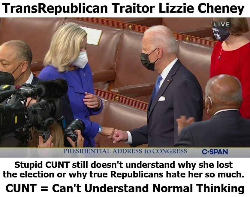 Liz Cheney still doesn't understand why Republicans hate her | image tagged in transrepublican,traitor,treason,fistbump,judas betrayal,birds of a feather | made w/ Imgflip meme maker
