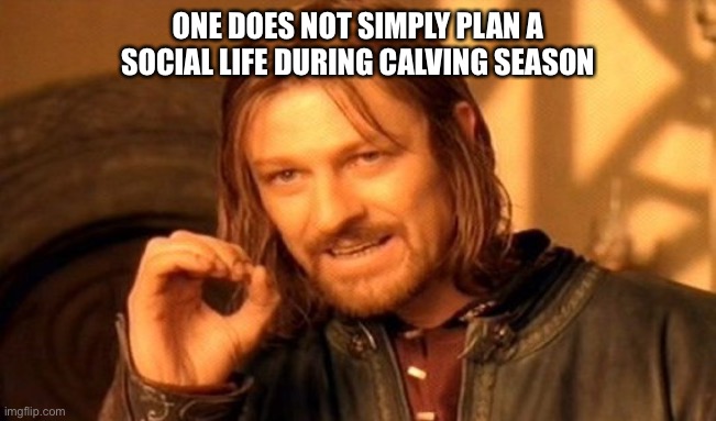One Does Not Simply | ONE DOES NOT SIMPLY PLAN A SOCIAL LIFE DURING CALVING SEASON | image tagged in memes,one does not simply | made w/ Imgflip meme maker