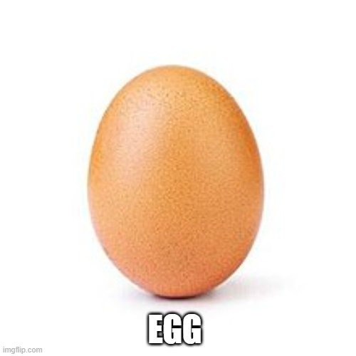 Egg | image tagged in egg | made w/ Imgflip meme maker