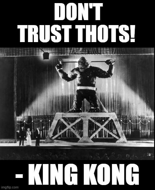 Don't trust thots | DON'T TRUST THOTS! - KING KONG | image tagged in king kong,blonds,betrayal | made w/ Imgflip meme maker