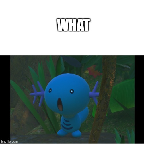 Surprise Wooper | WHAT | image tagged in surprise wooper | made w/ Imgflip meme maker