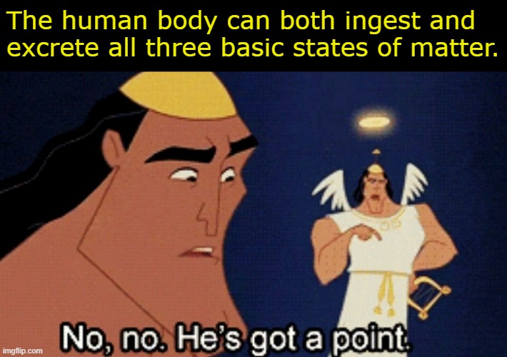 I'm not wrong, am I? | The human body can both ingest and excrete all three basic states of matter. | image tagged in no no he s got a point | made w/ Imgflip meme maker