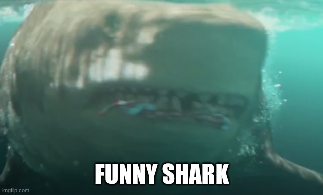 FUNNY SHARK | made w/ Imgflip meme maker