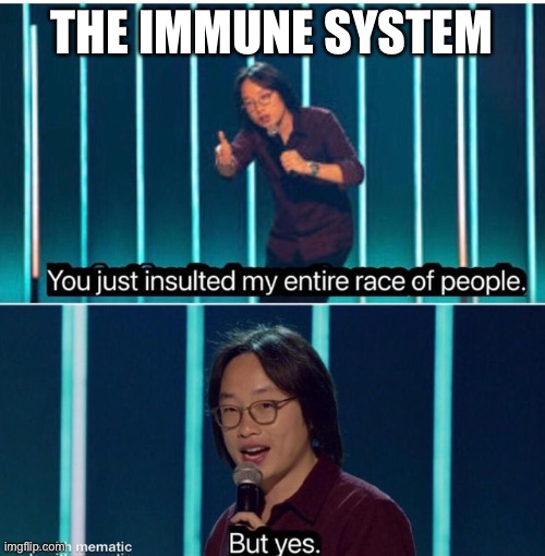 You just insulted my entire race of people | THE IMMUNE SYSTEM | image tagged in you just insulted my entire race of people | made w/ Imgflip meme maker