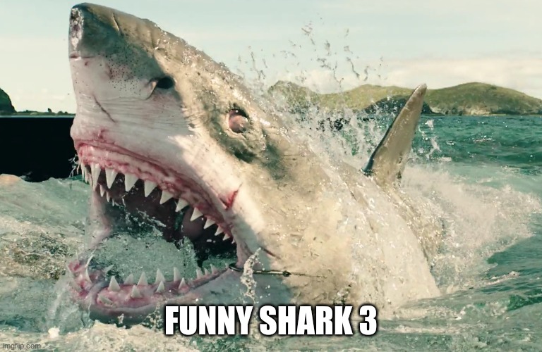 FUNNY SHARK 3 | made w/ Imgflip meme maker