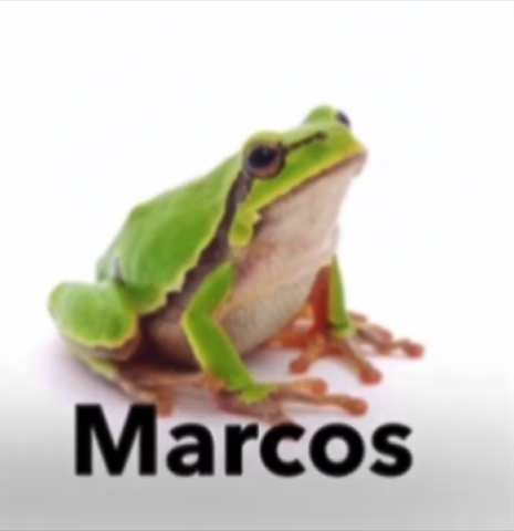 Marcos the Frog Blank Meme Template