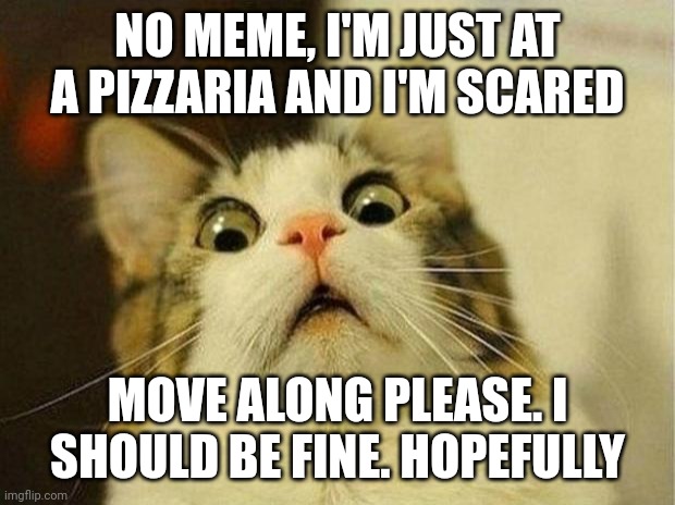 I'm watching for any animatronics, luckily so far there are none | NO MEME, I'M JUST AT A PIZZARIA AND I'M SCARED; MOVE ALONG PLEASE. I SHOULD BE FINE. HOPEFULLY | image tagged in memes,scared cat | made w/ Imgflip meme maker