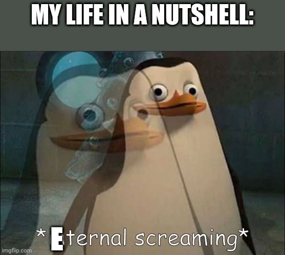 I have nothing to look forward to in life | MY LIFE IN A NUTSHELL:; E | image tagged in private internal screaming | made w/ Imgflip meme maker