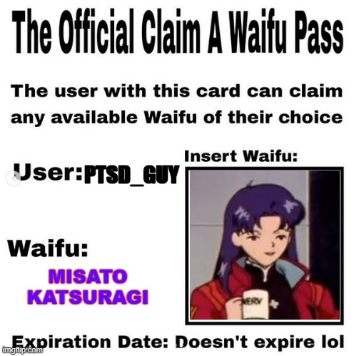 Official claim a waifu pass | PTSD_GUY; MISATO KATSURAGI | image tagged in official claim a waifu pass | made w/ Imgflip meme maker