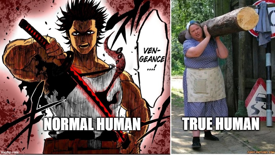 Purifying Yami | TRUE HUMAN; NORMAL HUMAN | image tagged in black clover | made w/ Imgflip meme maker