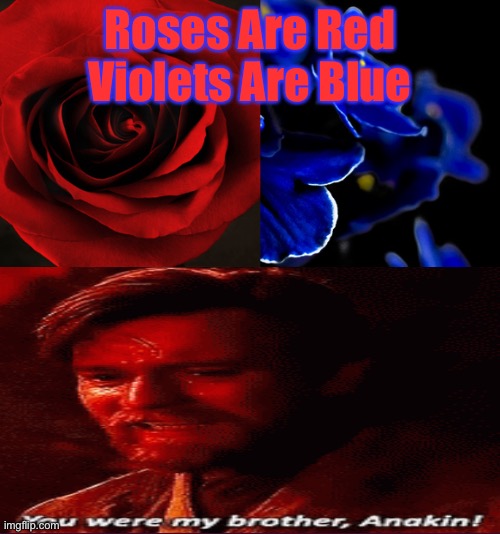 Roses are Red, Violets are Blue. | Roses Are Red
Violets Are Blue | image tagged in roses are red violets are blue,you were the chosen one star wars,sad,nursery rhymes,lol so funny | made w/ Imgflip meme maker