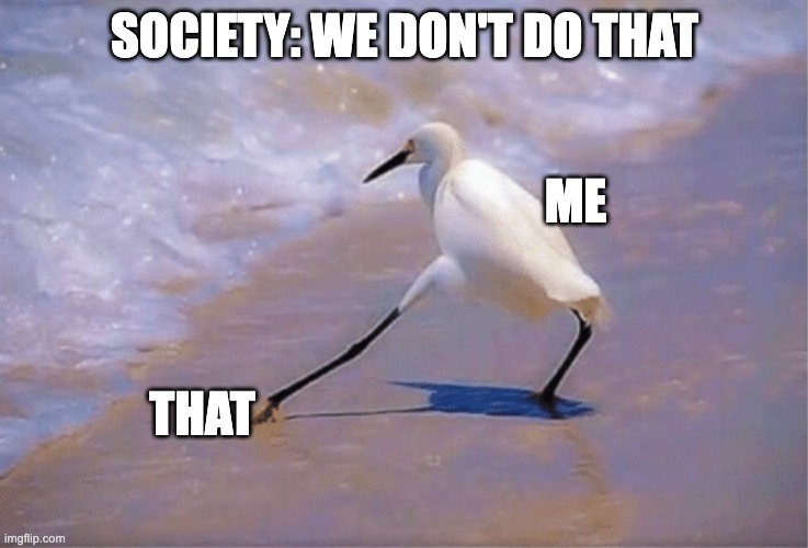 I Do What I Want | SOCIETY: WE DON'T DO THAT; ME; THAT | image tagged in dont do that bird | made w/ Imgflip meme maker