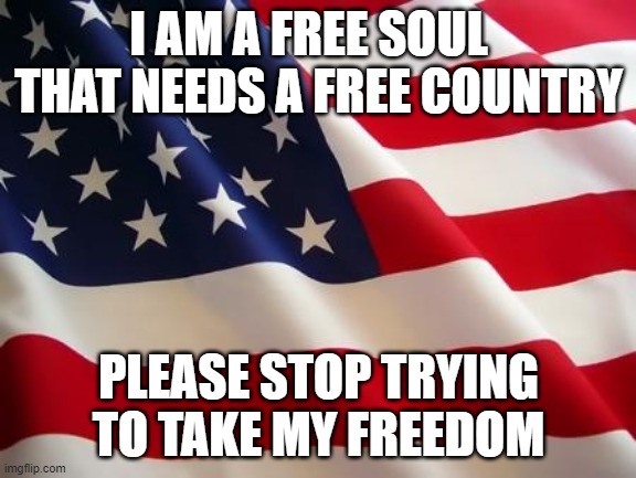 American flag | I AM A FREE SOUL   THAT NEEDS A FREE COUNTRY; PLEASE STOP TRYING TO TAKE MY FREEDOM | image tagged in american flag | made w/ Imgflip meme maker