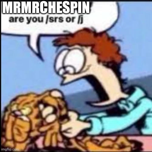 Garfield are you /srs or /j | MRMRCHESPIN | image tagged in garfield are you /srs or /j | made w/ Imgflip meme maker