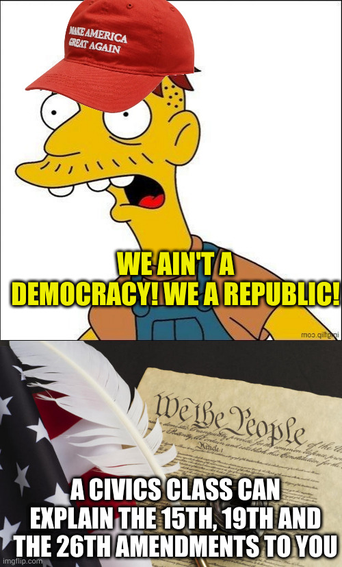 You won't read it, you will rollover like the lap dogs you are to your masters because you are cowards | WE AIN'T A DEMOCRACY! WE A REPUBLIC! A CIVICS CLASS CAN EXPLAIN THE 15TH, 19TH AND THE 26TH AMENDMENTS TO YOU | image tagged in some kind of maga moron | made w/ Imgflip meme maker