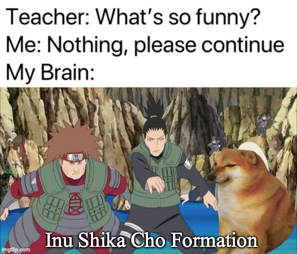 Inu Shika Cho Formation | image tagged in teacher what's so funny,shiba inu,naruto,naruto shippuden,anime,anime meme | made w/ Imgflip meme maker