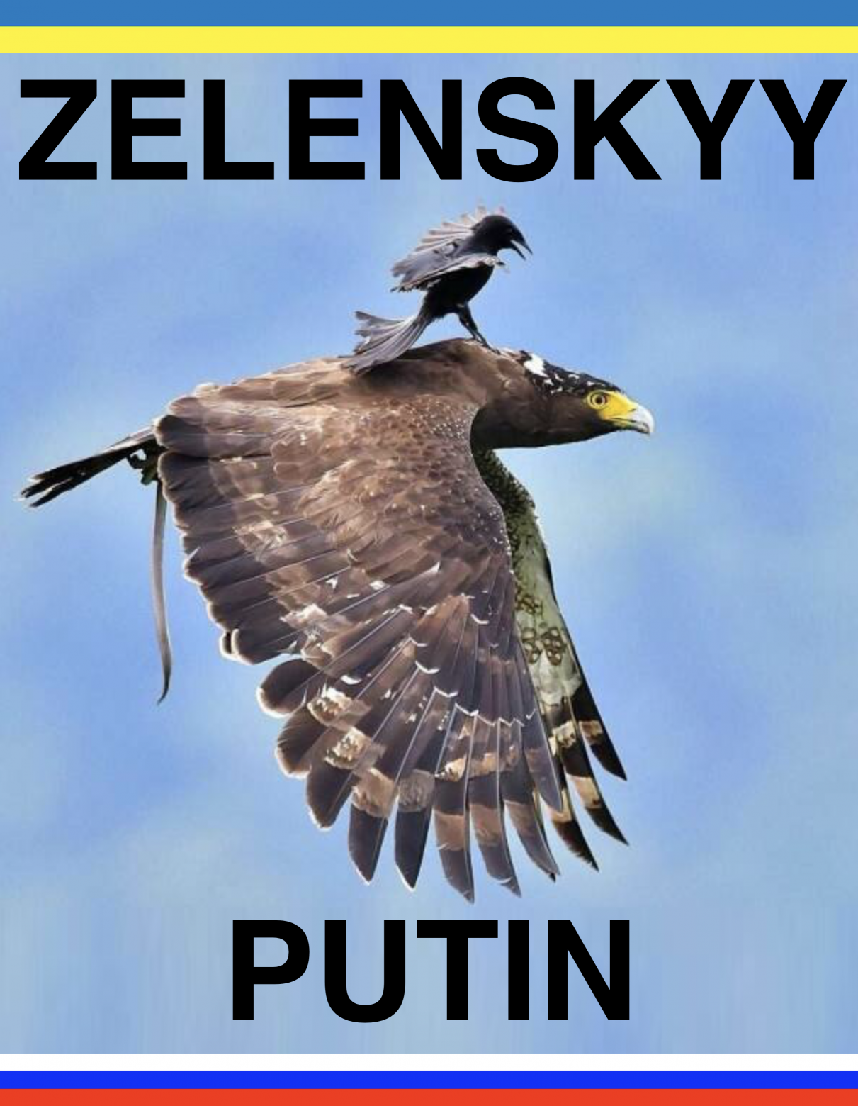 Zelenskyy Vs Putin Meme Blank Meme Template