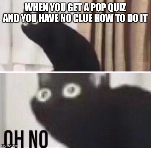 OH NO | WHEN YOU GET A POP QUIZ AND YOU HAVE NO CLUE HOW TO DO IT | image tagged in oh no cat | made w/ Imgflip meme maker