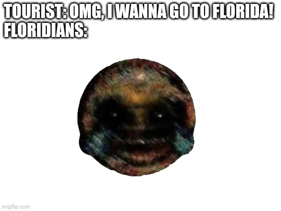 Don't, its not worth it | TOURIST: OMG, I WANNA GO TO FLORIDA!
FLORIDIANS: | made w/ Imgflip meme maker
