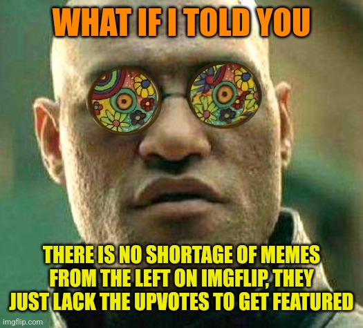 Acid kicks in Morpheus | WHAT IF I TOLD YOU; THERE IS NO SHORTAGE OF MEMES FROM THE LEFT ON IMGFLIP, THEY JUST LACK THE UPVOTES TO GET FEATURED | image tagged in acid kicks in morpheus | made w/ Imgflip meme maker