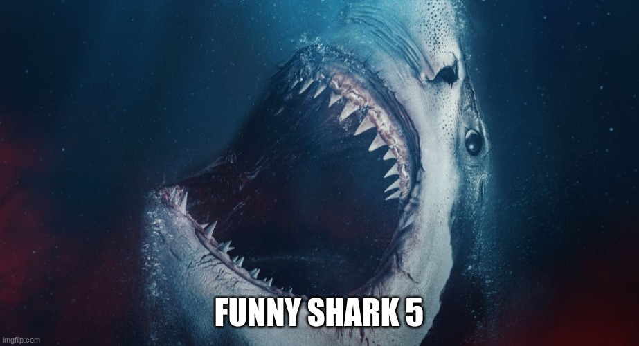 FUNNY SHARK 5 | made w/ Imgflip meme maker