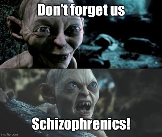 Gollum schizophrenia | Don’t forget us Schizophrenics! | image tagged in gollum schizophrenia | made w/ Imgflip meme maker