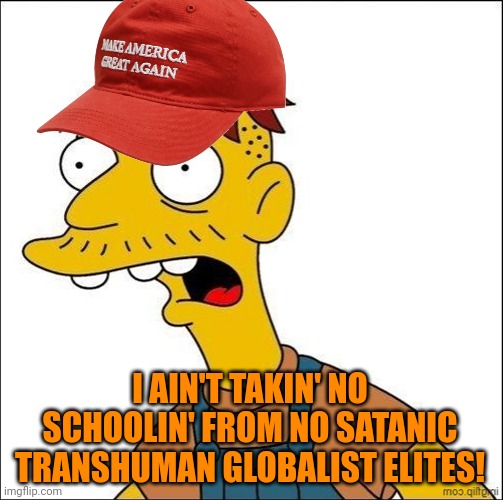 Some Kind Of MAGA Moron | I AIN'T TAKIN' NO SCHOOLIN' FROM NO SATANIC TRANSHUMAN GLOBALIST ELITES! | image tagged in some kind of maga moron | made w/ Imgflip meme maker