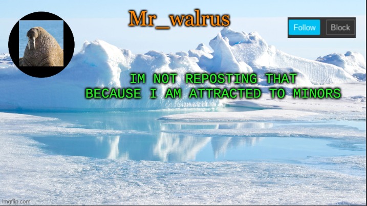 Mr_walrus | IM NOT REPOSTING THAT BECAUSE I AM ATTRACTED TO MINORS | image tagged in mr_walrus | made w/ Imgflip meme maker