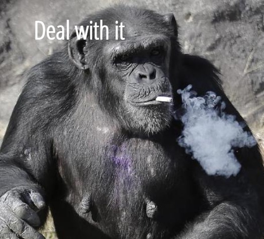 Deal with it | image tagged in deal with it | made w/ Imgflip meme maker