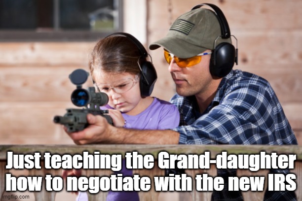 New IRS | Just teaching the Grand-daughter how to negotiate with the new IRS | image tagged in irs | made w/ Imgflip meme maker