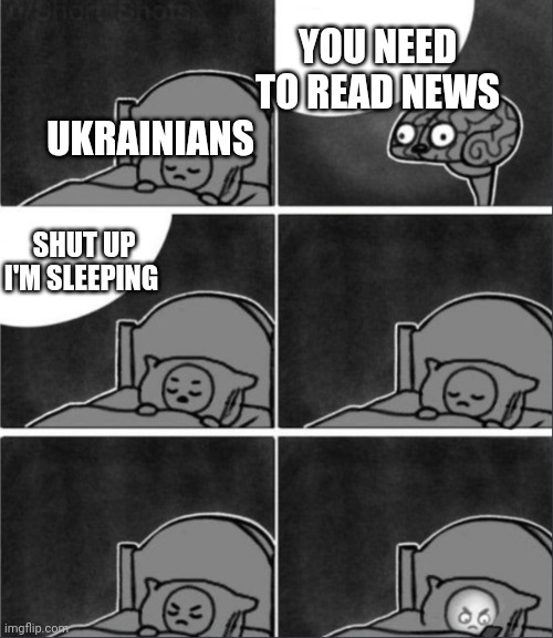 Ukrainians 24/7 be like | YOU NEED TO READ NEWS; UKRAINIANS; SHUT UP I'M SLEEPING | image tagged in brain sleep phone | made w/ Imgflip meme maker