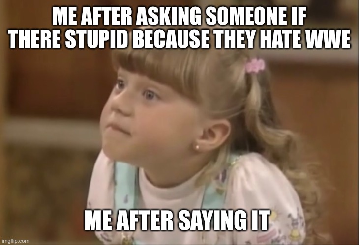 ME AFTER ASKING SOMEONE IF THERE STUPID BECAUSE THEY HATE WWE; ME AFTER SAYING IT | made w/ Imgflip meme maker