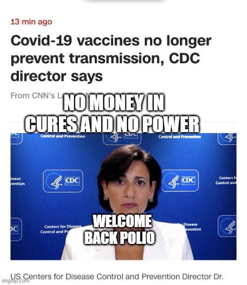 Aids lady | NO MONEY IN CURES AND NO POWER; WELCOME BACK POLIO | image tagged in aids lady | made w/ Imgflip meme maker