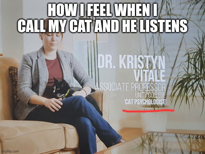 Most millennial job ever | HOW I FEEL WHEN I CALL MY CAT AND HE LISTENS | image tagged in cats,cat,netflix,feline,science | made w/ Imgflip meme maker