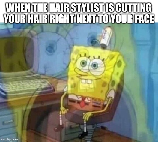 Internal screaming | WHEN THE HAIR STYLIST IS CUTTING YOUR HAIR RIGHT NEXT TO YOUR FACE | image tagged in internal screaming | made w/ Imgflip meme maker
