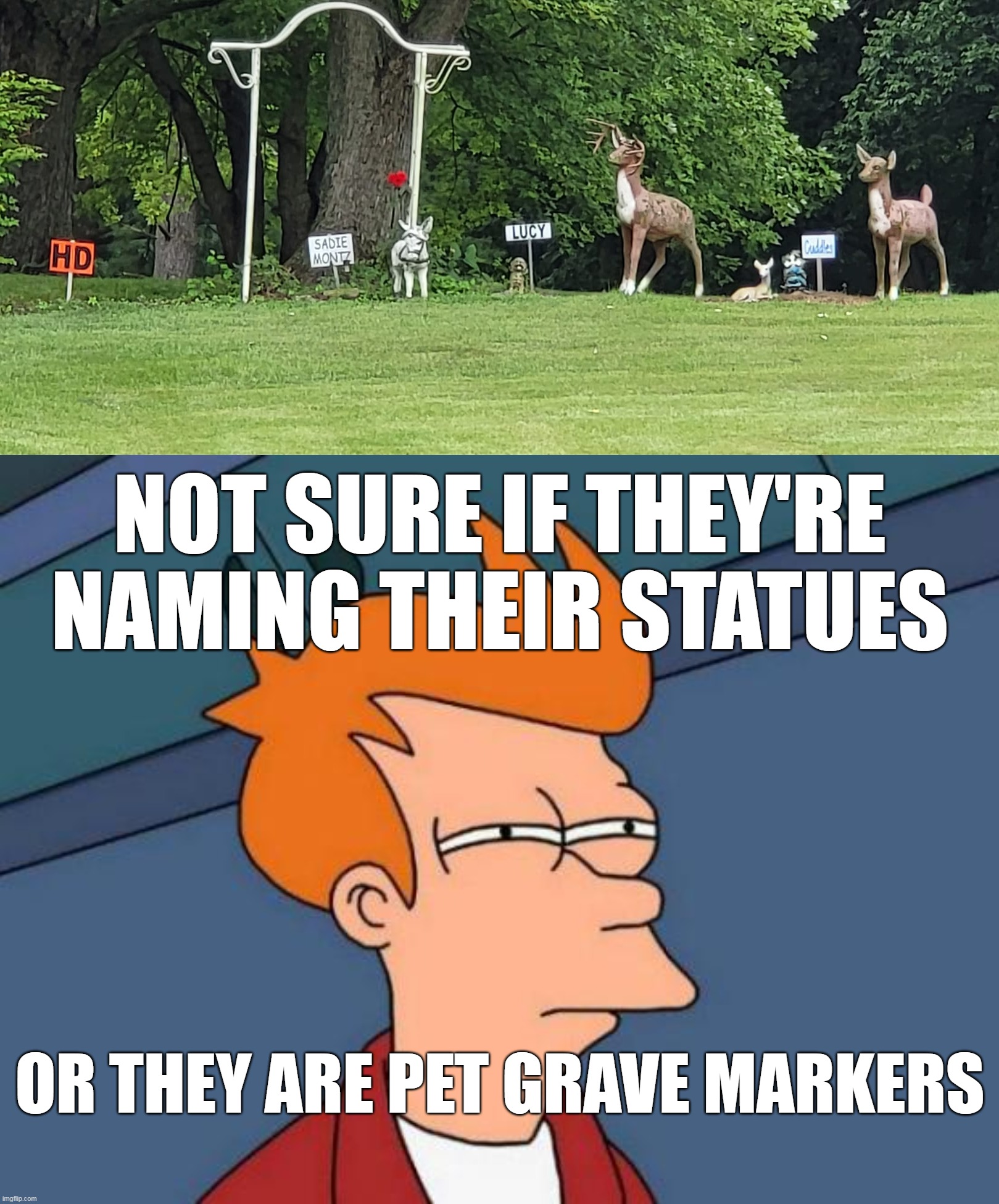 Creepy AF from a Distance | NOT SURE IF THEY'RE NAMING THEIR STATUES; OR THEY ARE PET GRAVE MARKERS | image tagged in memes,futurama fry,meme,humor,signs,perspective | made w/ Imgflip meme maker
