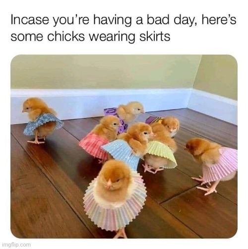 chicks | image tagged in chicks,smile | made w/ Imgflip meme maker
