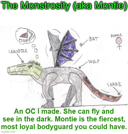 An OC I made for a book I'm writing | The Monstrosity (aka Montie); An OC I made. She can fly and see in the dark. Montie is the fiercest, most loyal bodyguard you could have. | image tagged in original character,monsters,hybrid | made w/ Imgflip meme maker