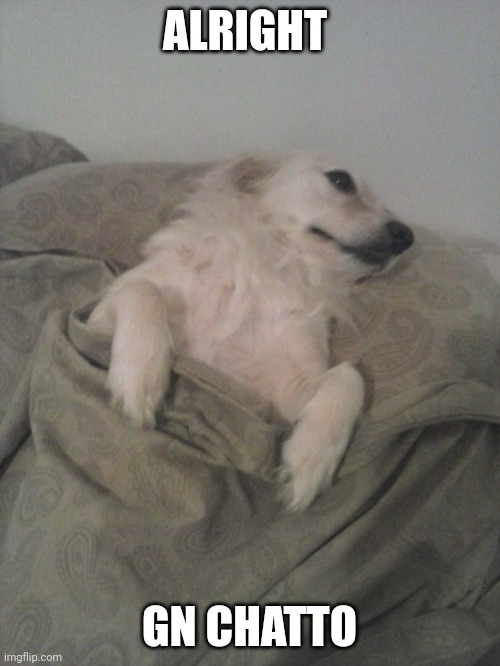 sleepy dog | ALRIGHT; GN CHATTO | image tagged in sleepy dog | made w/ Imgflip meme maker